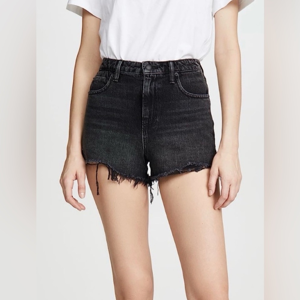 Alexander Wang Bite Distressed Denim Cutoff Shorts
